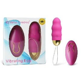 Rechargeable Remote Control 10 Speed Vibrator