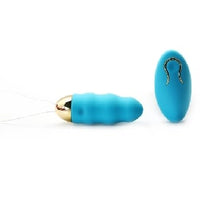 Rechargeable Remote Control 10 Speed Vibrator