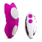 Underwear Vibrator with Remote Control